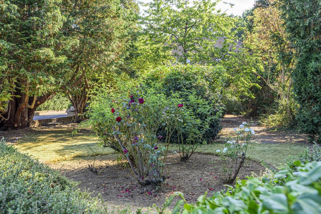 Communal Gardens
