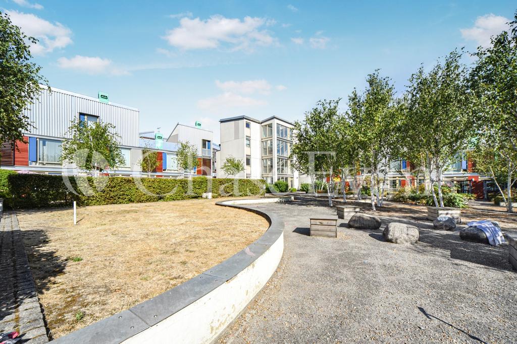 Play Area