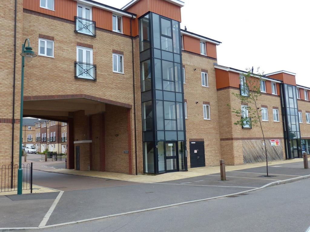 Main Image