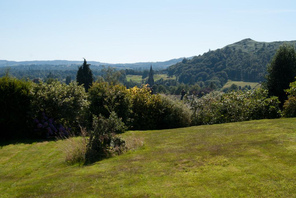 View from Garden