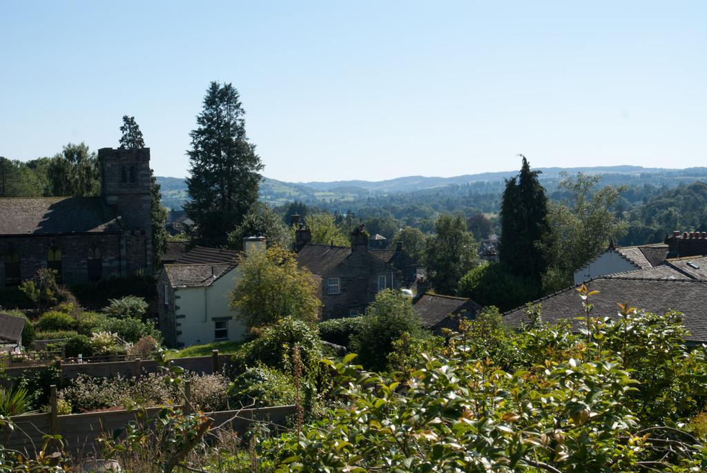 View from Garden