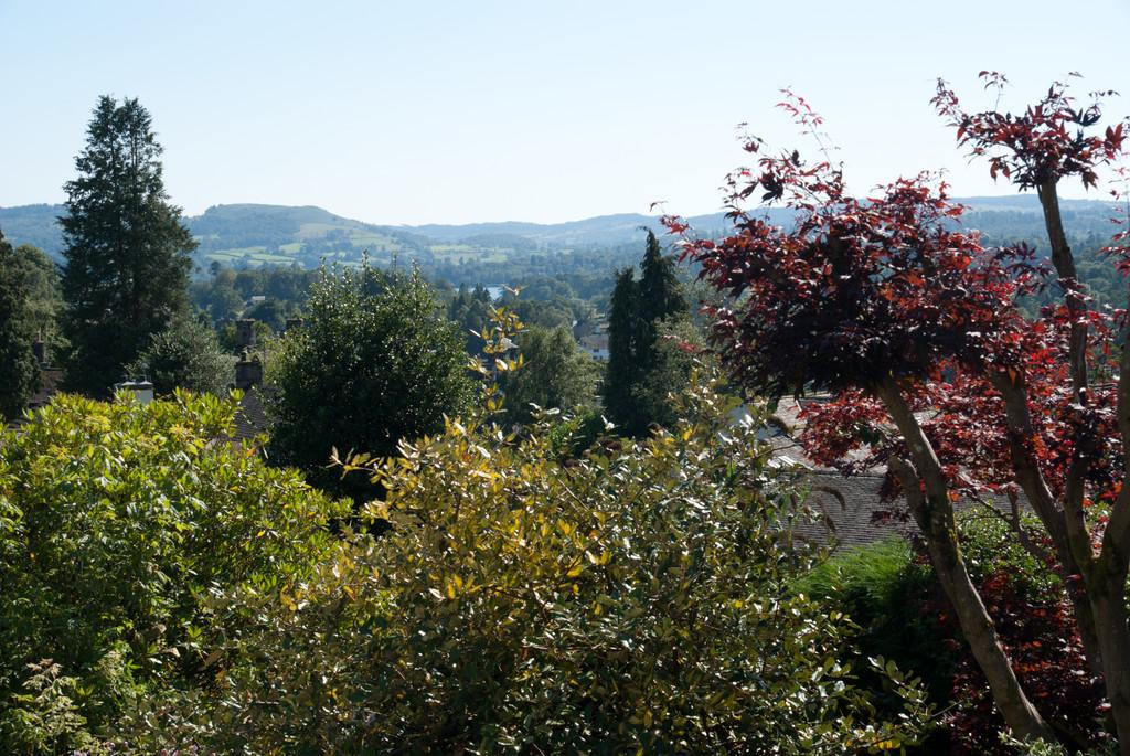 View from Garden