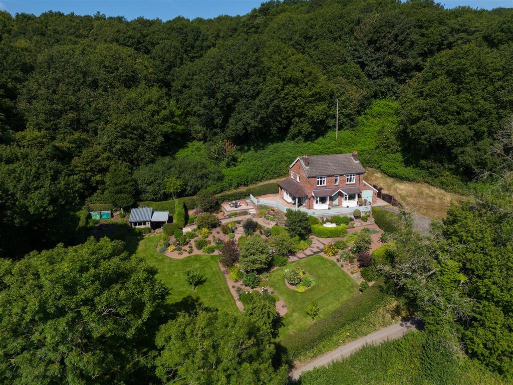DJI 0032.jpg