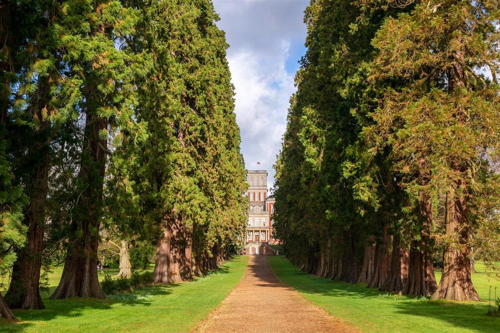 Grounds