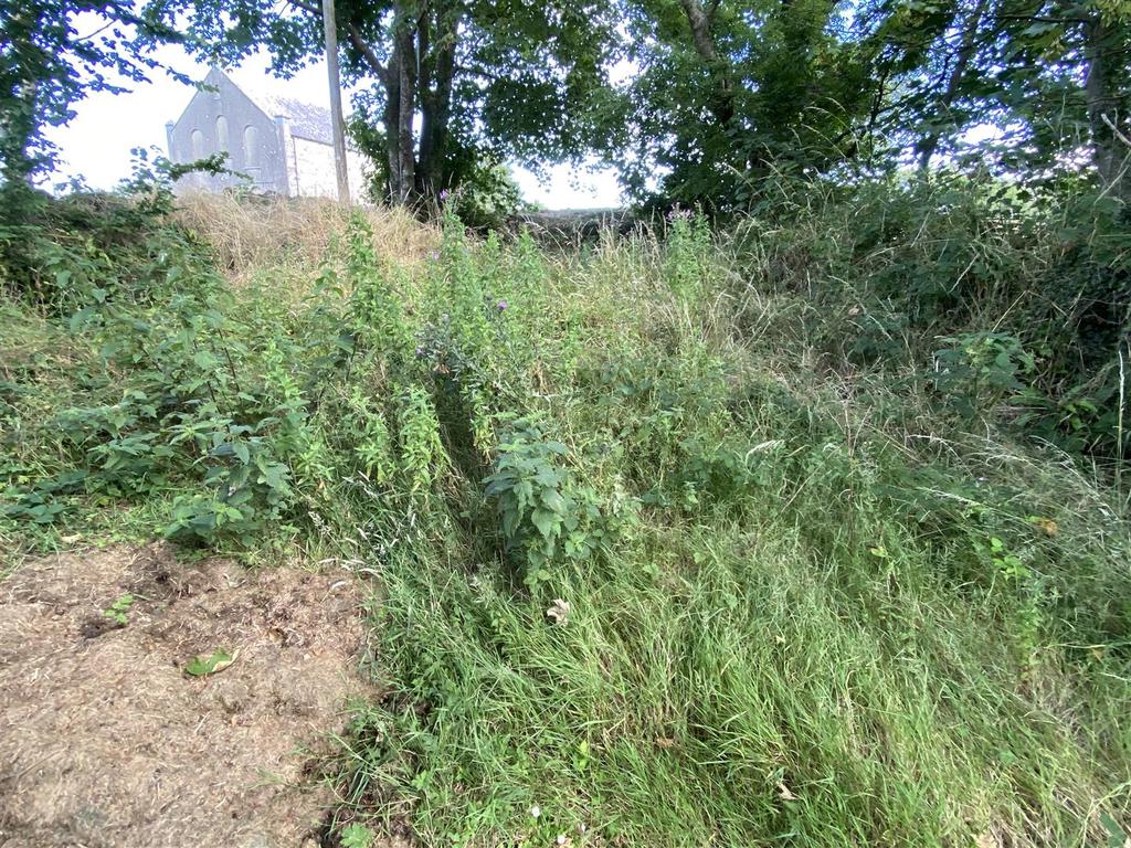 Img 4780.jpg