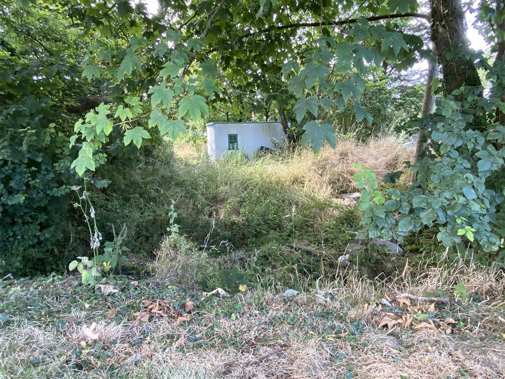 Img 4789.jpg
