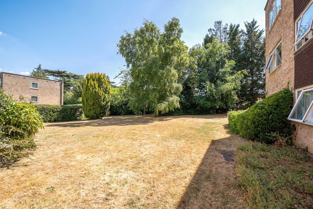 Communal Garden