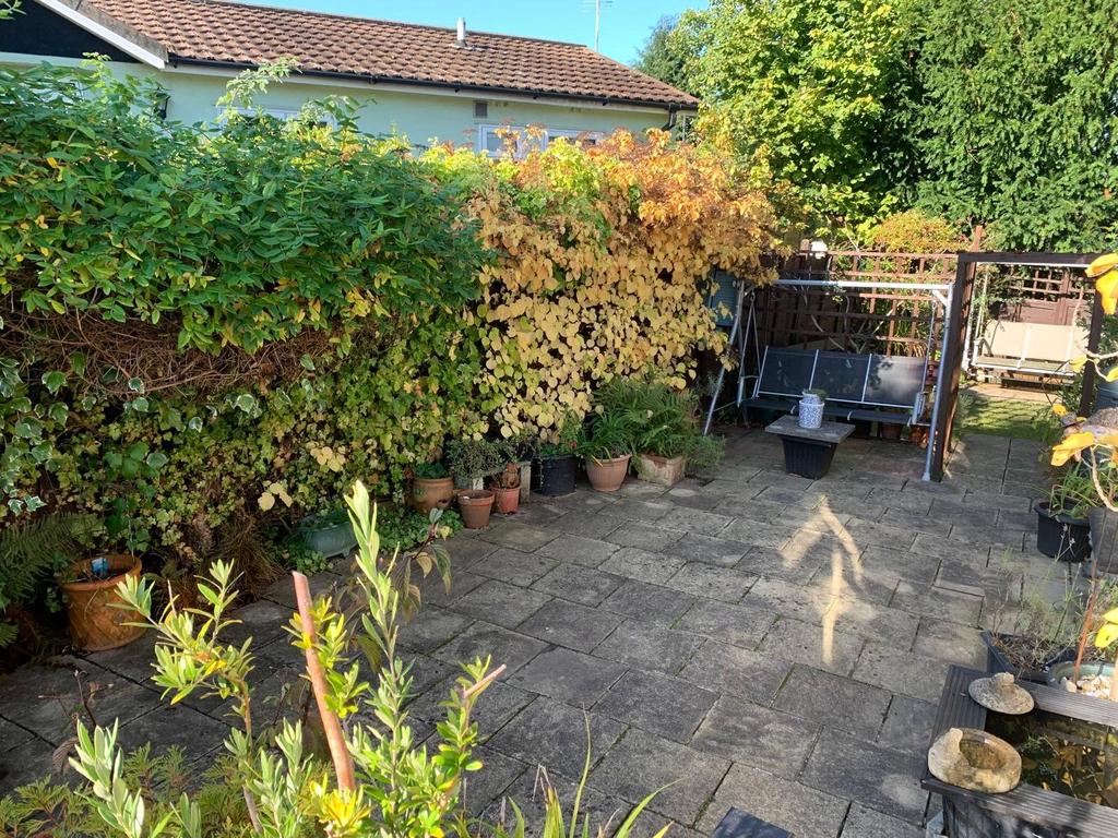 Garden 2
