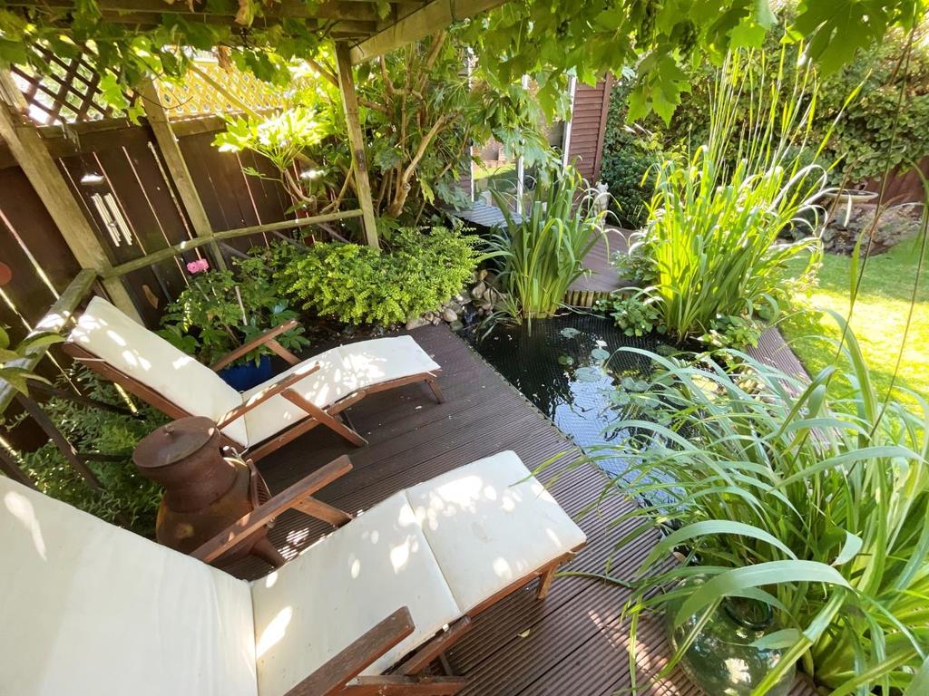 Rear garden