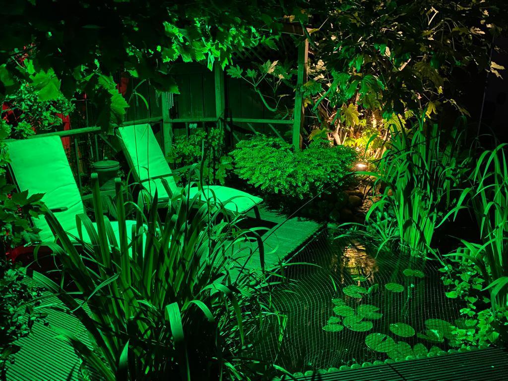 Night image