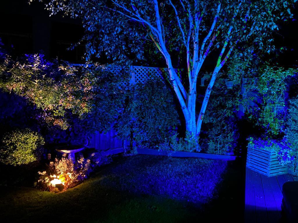 Night image