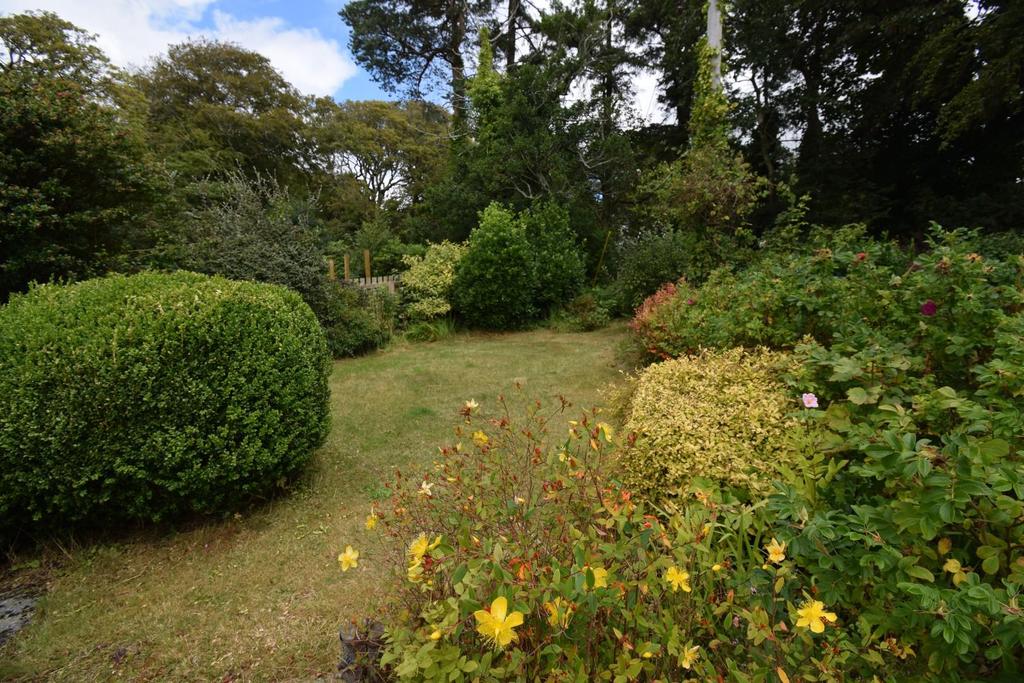 Garden (4).JPG