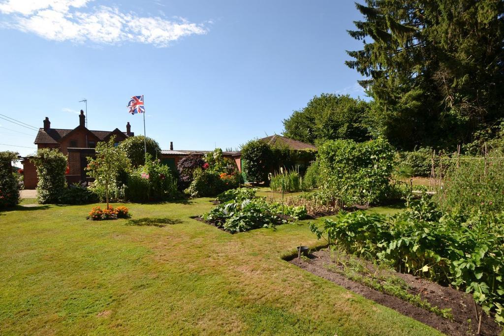 Veg patch/garden