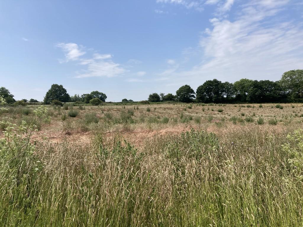 Burgh Road, Aylsham, Norfolk Land £80,000