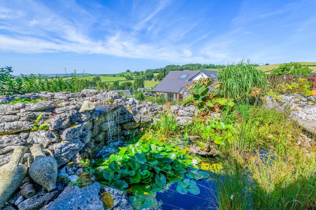 Pond and view