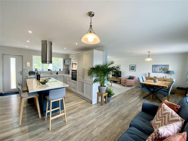 Kitchen/living/dining space