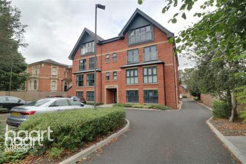 undefined, South Park, Lincoln