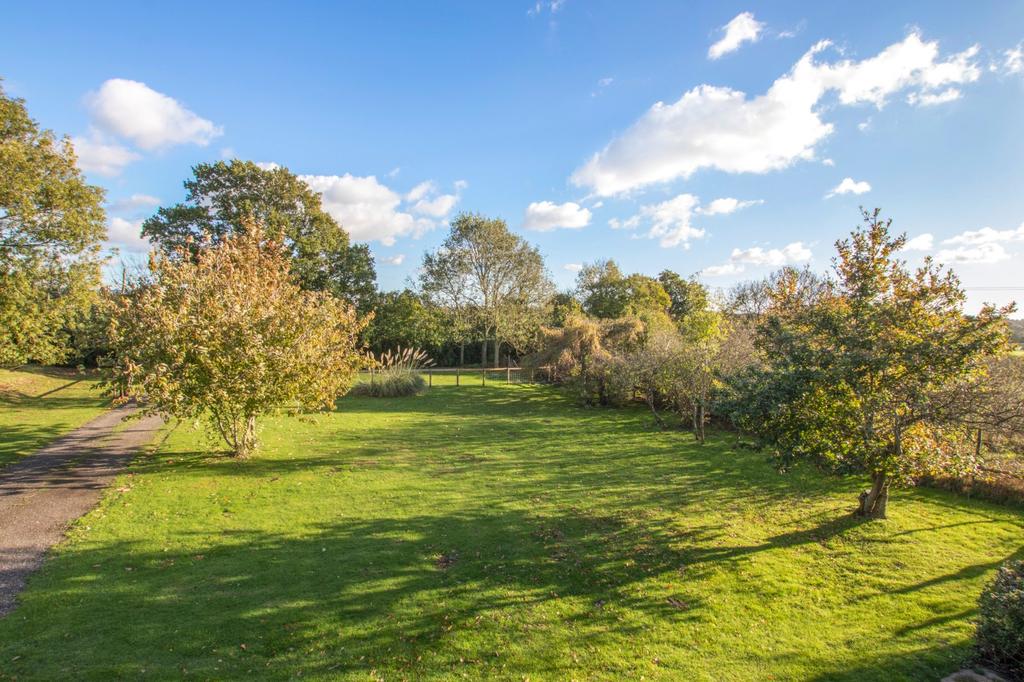 Back garden