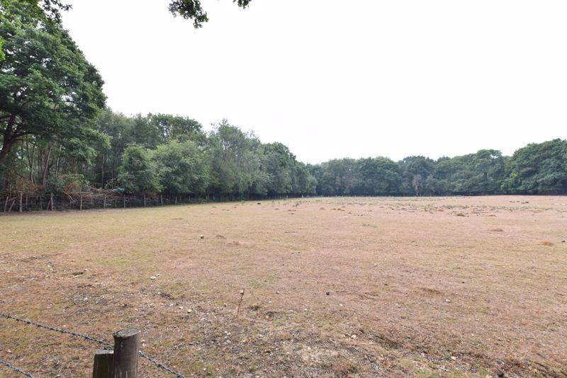 Field