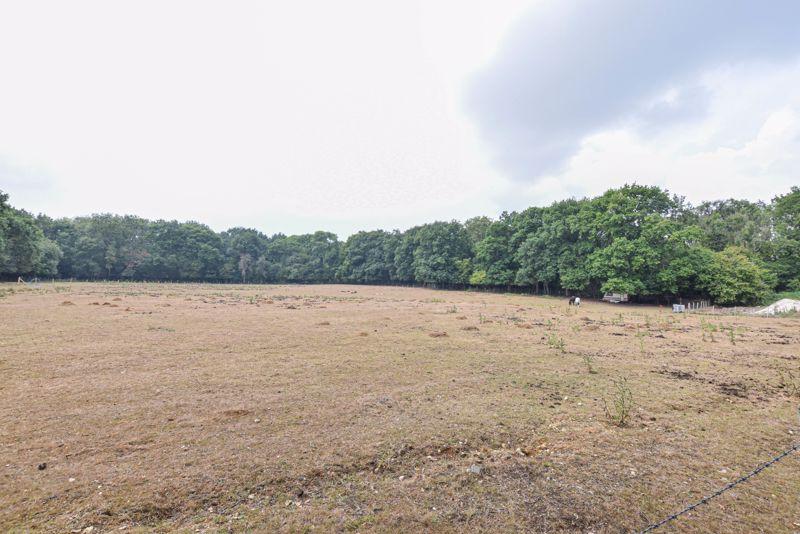 Field (1)