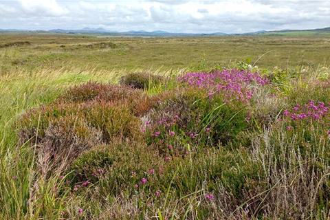 3 bedroom property with land for sale - Bruichladdich, Isle of Islay