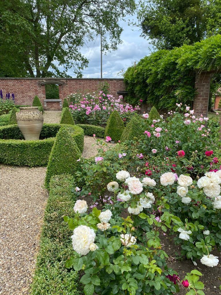 Garden i.jpg