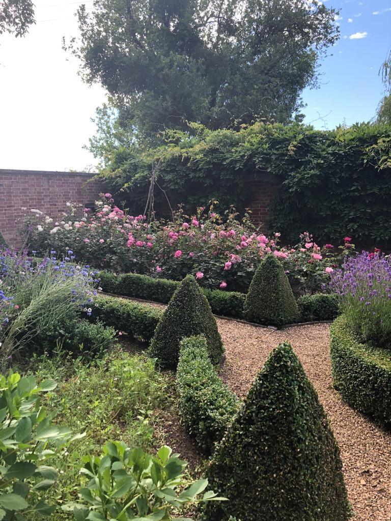 Garden iii.jpg