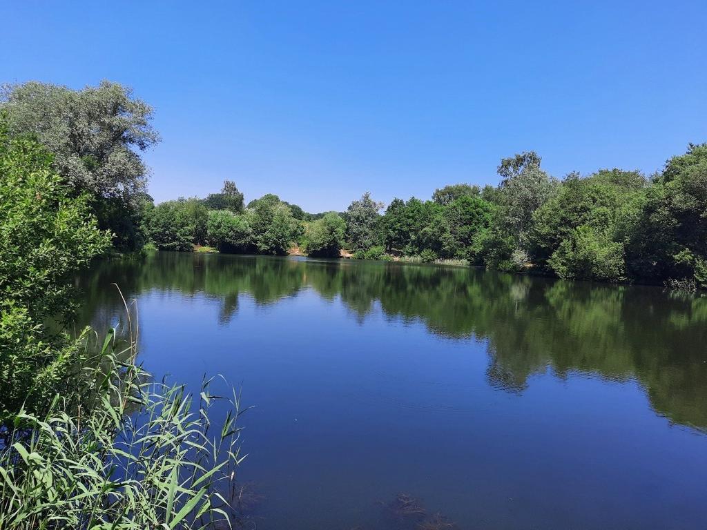 Fishing Lake