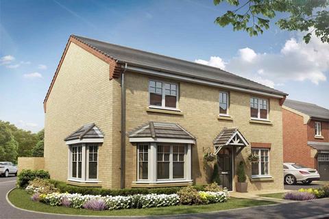 4 bedroom detached house for sale - The Shelford Special  - Plot 250 at Lime Gardens, Lime Gardens, Topcliffe Road YO7