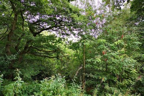 Land for sale, Woodland Plots off Reacliffe Road, Rudyard, Leek, Staffordshire