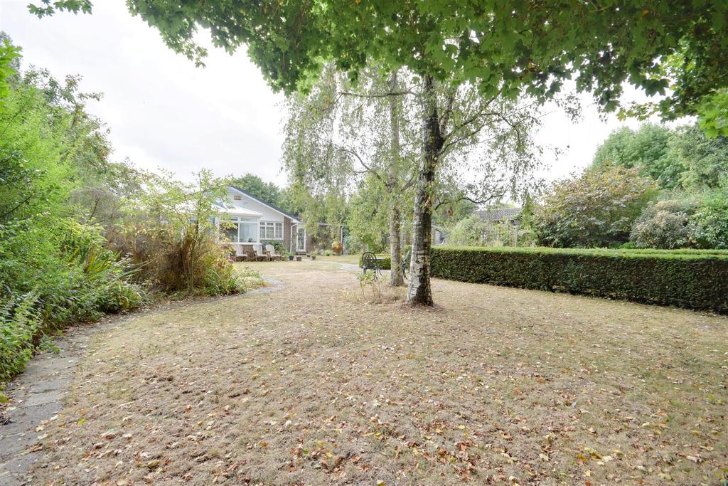 Rear gardens