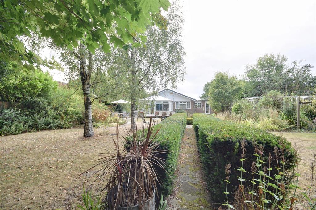 Rear gardens