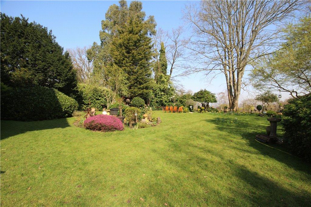 Communal Garden