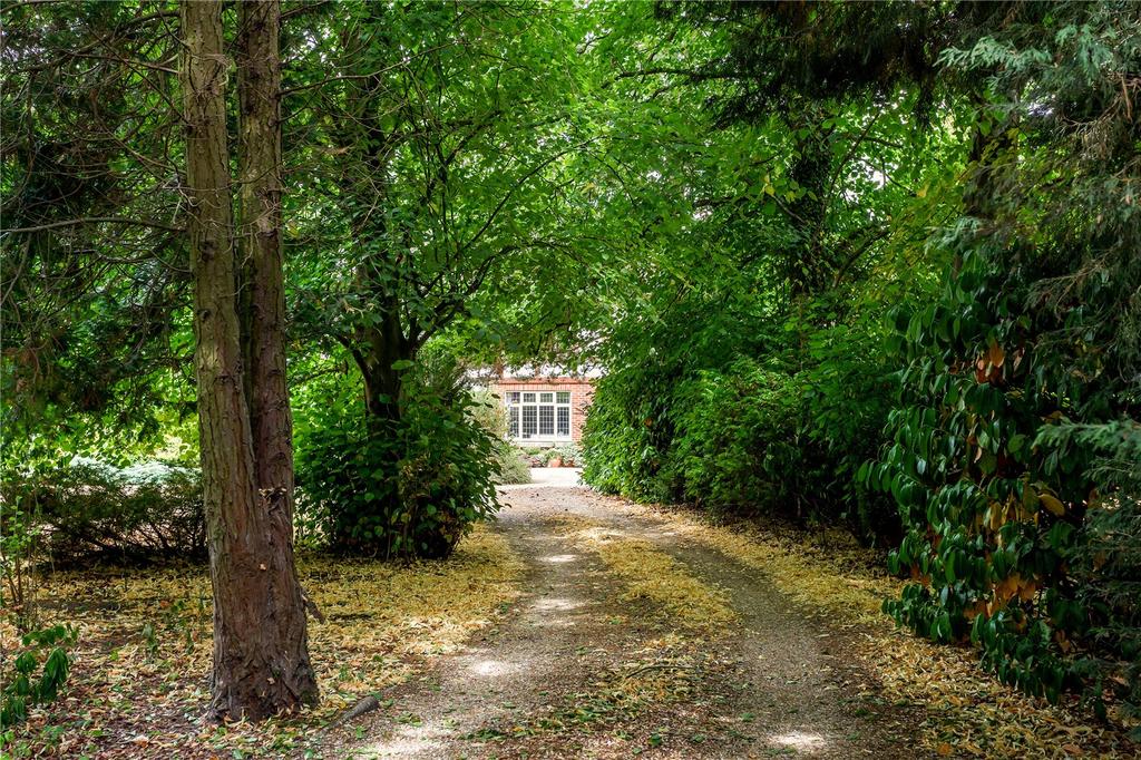 Driveway