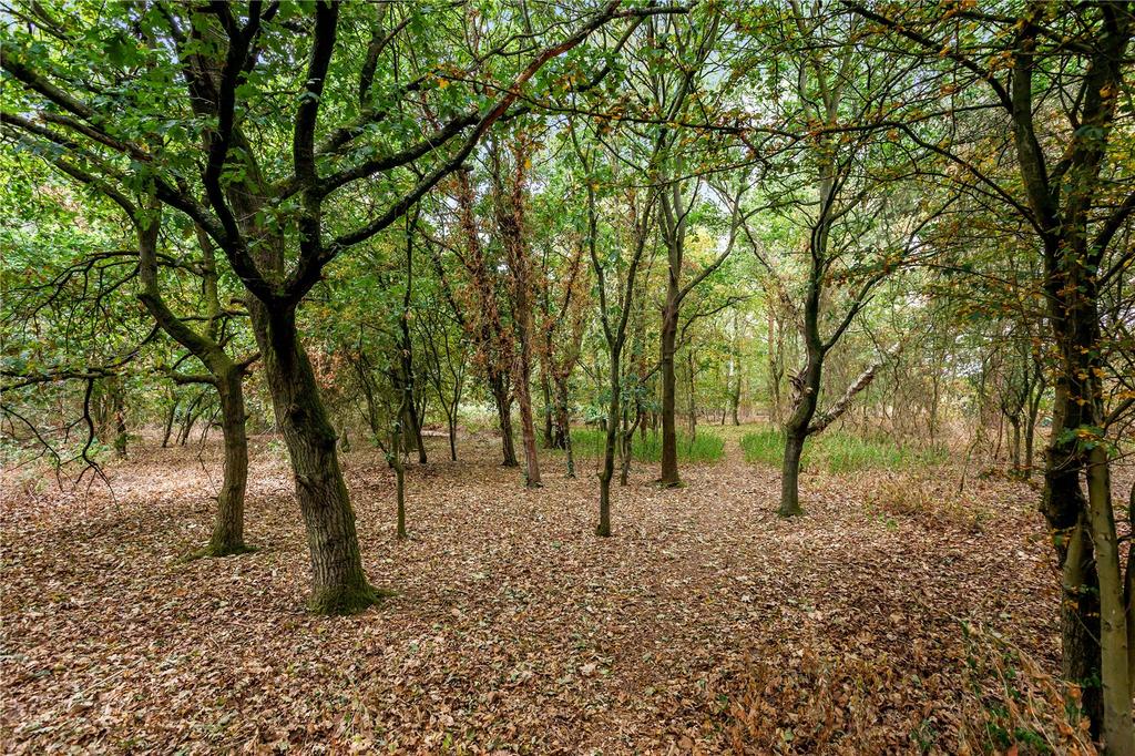 Woodland