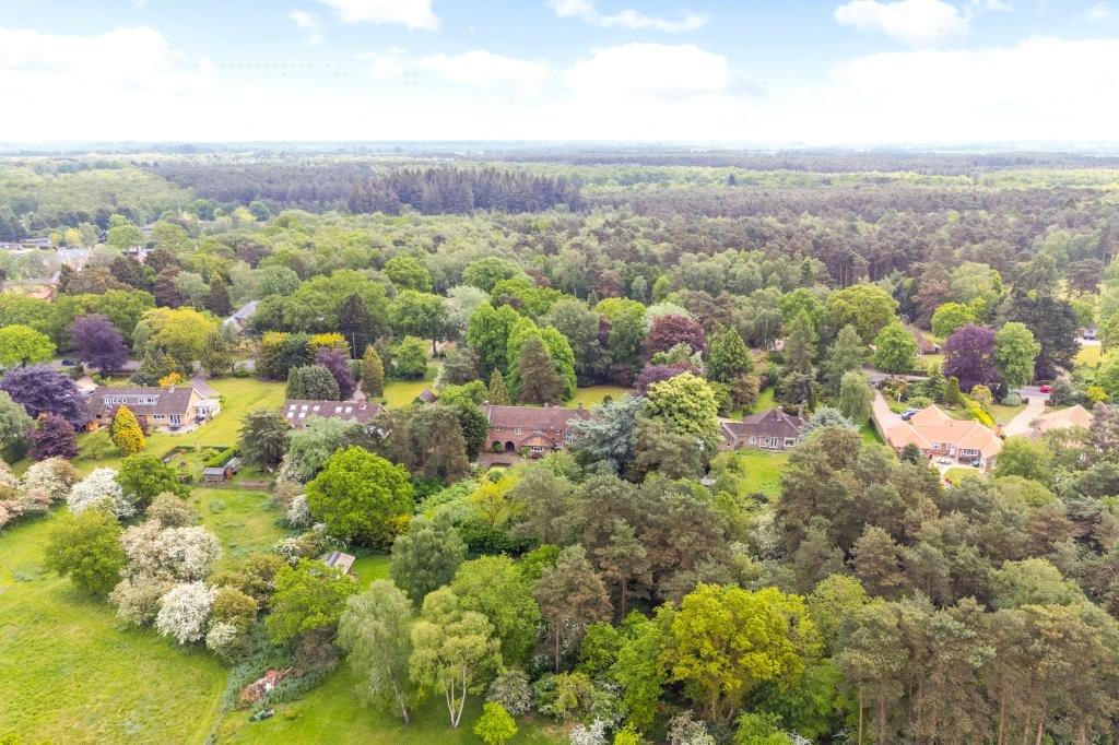 Rear Aerial View