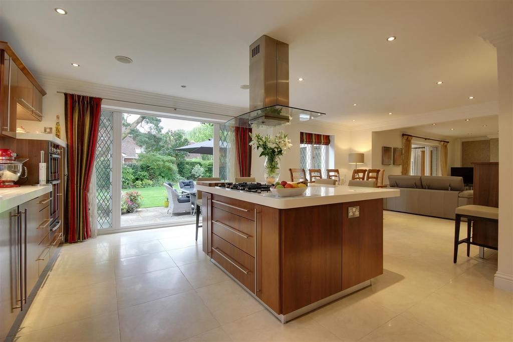 Alternative View