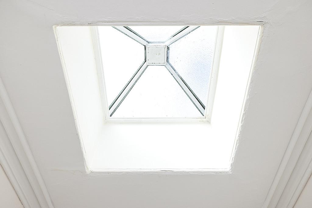 Cupula