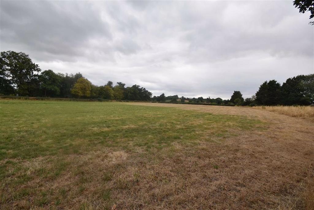 Jennet Tree Lane, Callow End... Land - £75,000