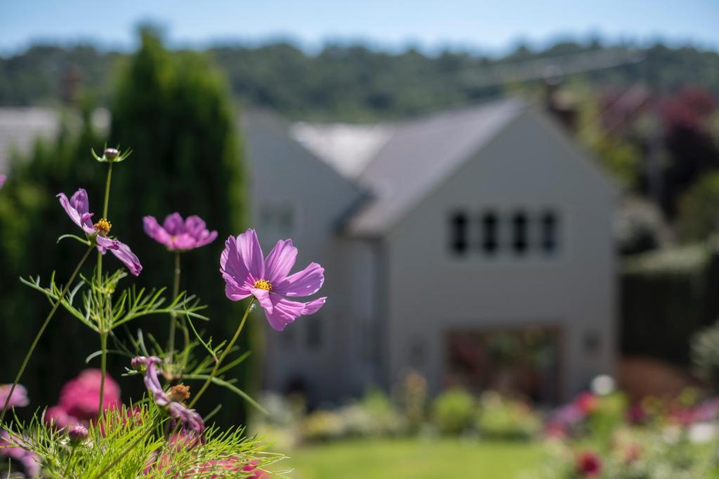 Rose Cottage-075.JPG