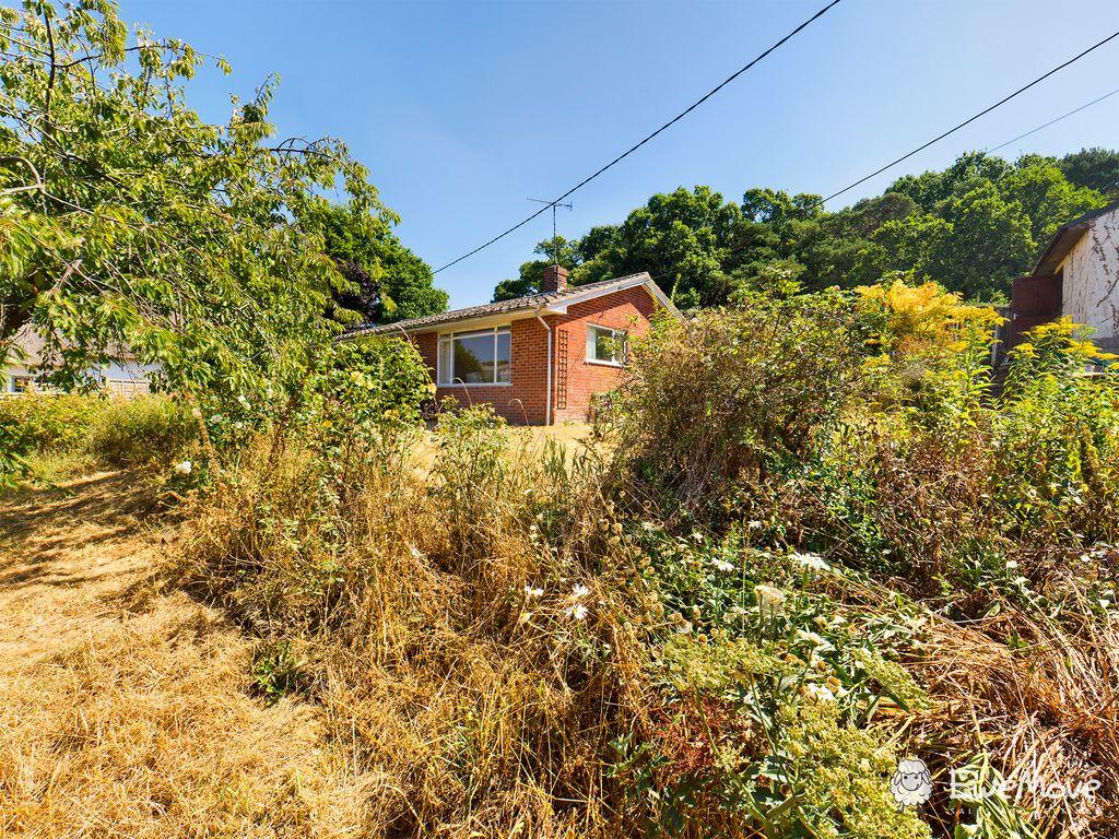 Garden at Back