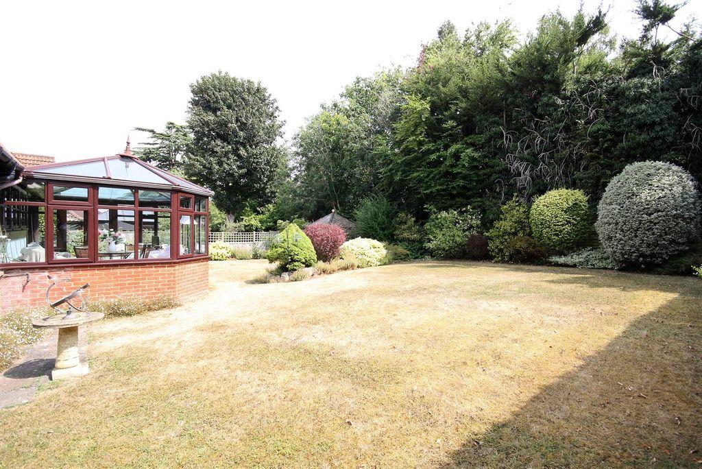 Garden at Back