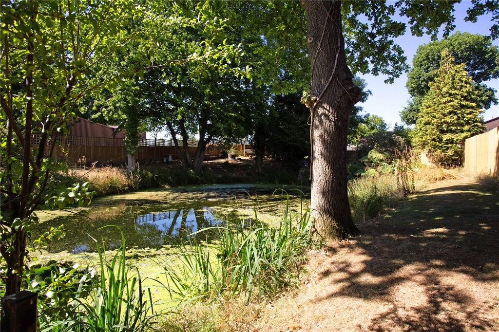 Pond
