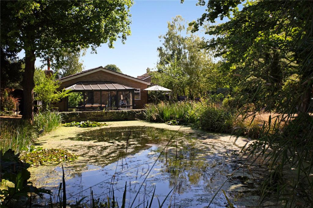 Garden &amp; Pond