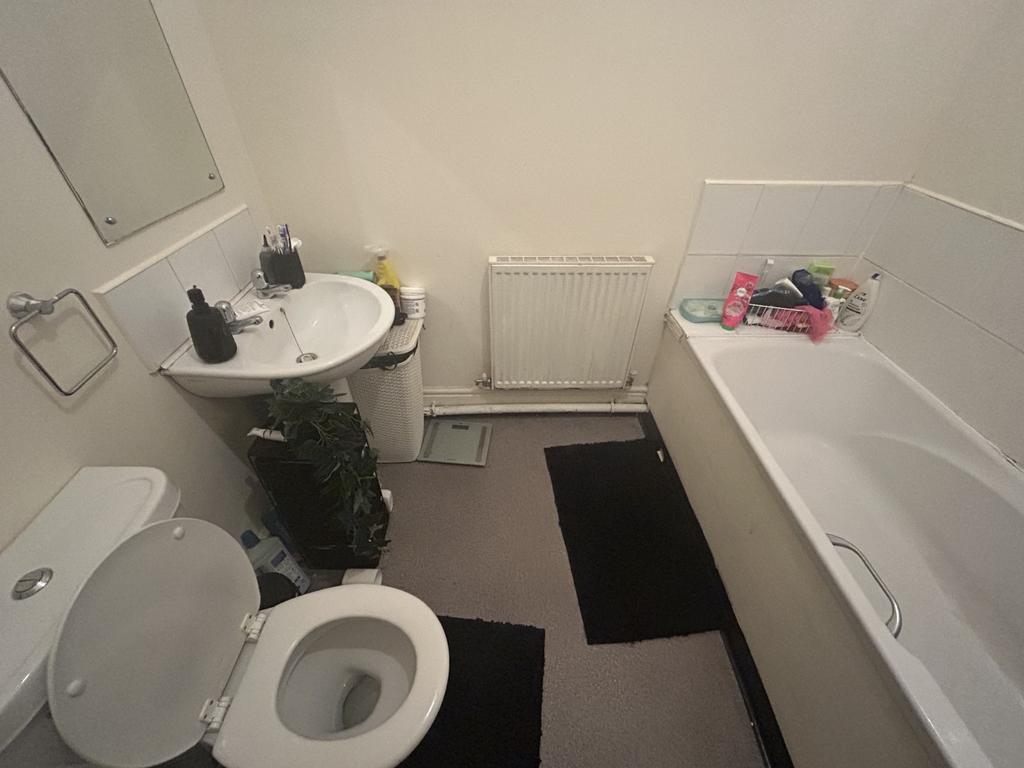 Img 0948
