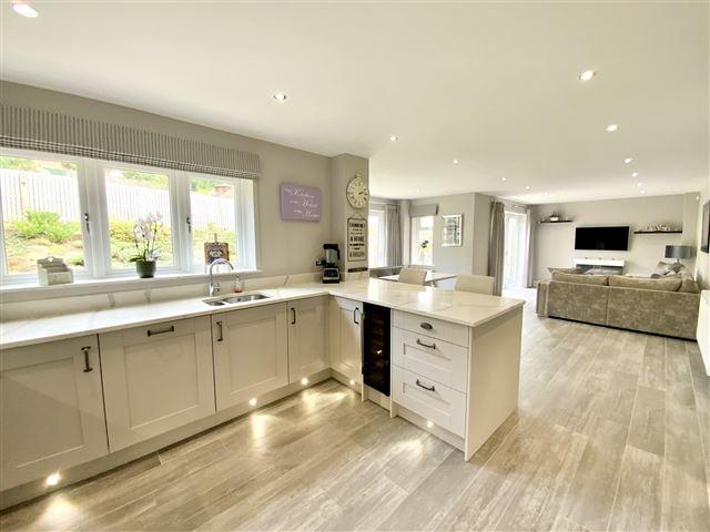 Kitchen/family living/dining space