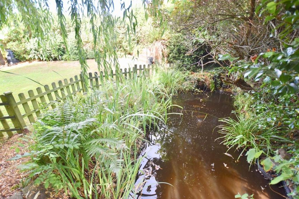 Pond