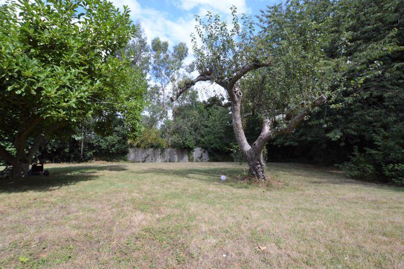 Communal Garden