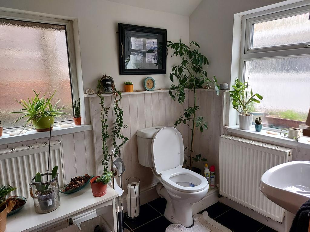 Shower Room &amp; WC