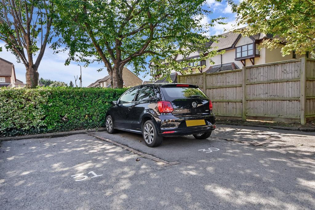 Driveway/Parking